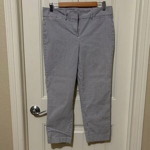 Ann Taylor Striped Blue and White Pants